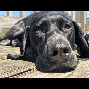 Meet your Posher, Christopher